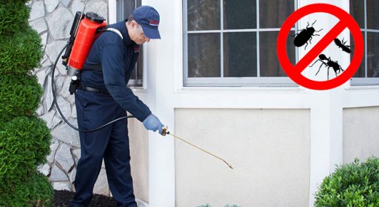 Gölbaşı Haşere İlaçlama böcek ilaçlama ve haşere kontrolü — ilaclama-tr.com